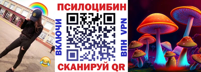 магазин  наркотиков  Тында  Галлюциногенные грибы Cubensis 